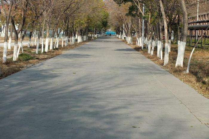绿化.jpg