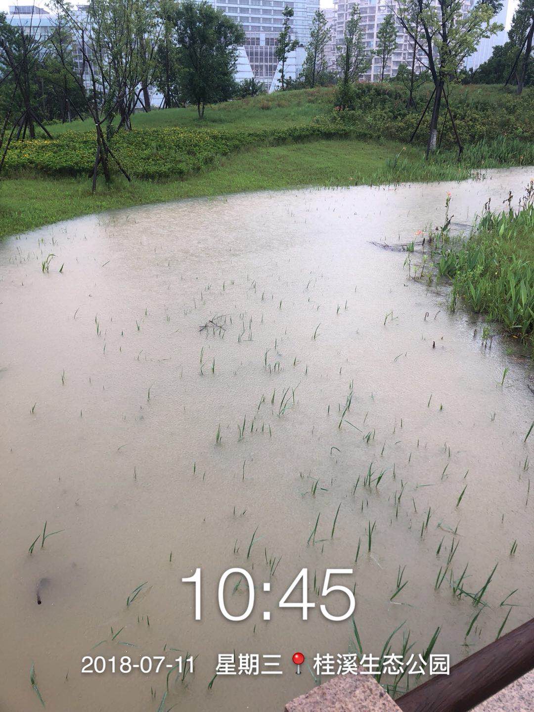 微信图片_20180711112049.jpg