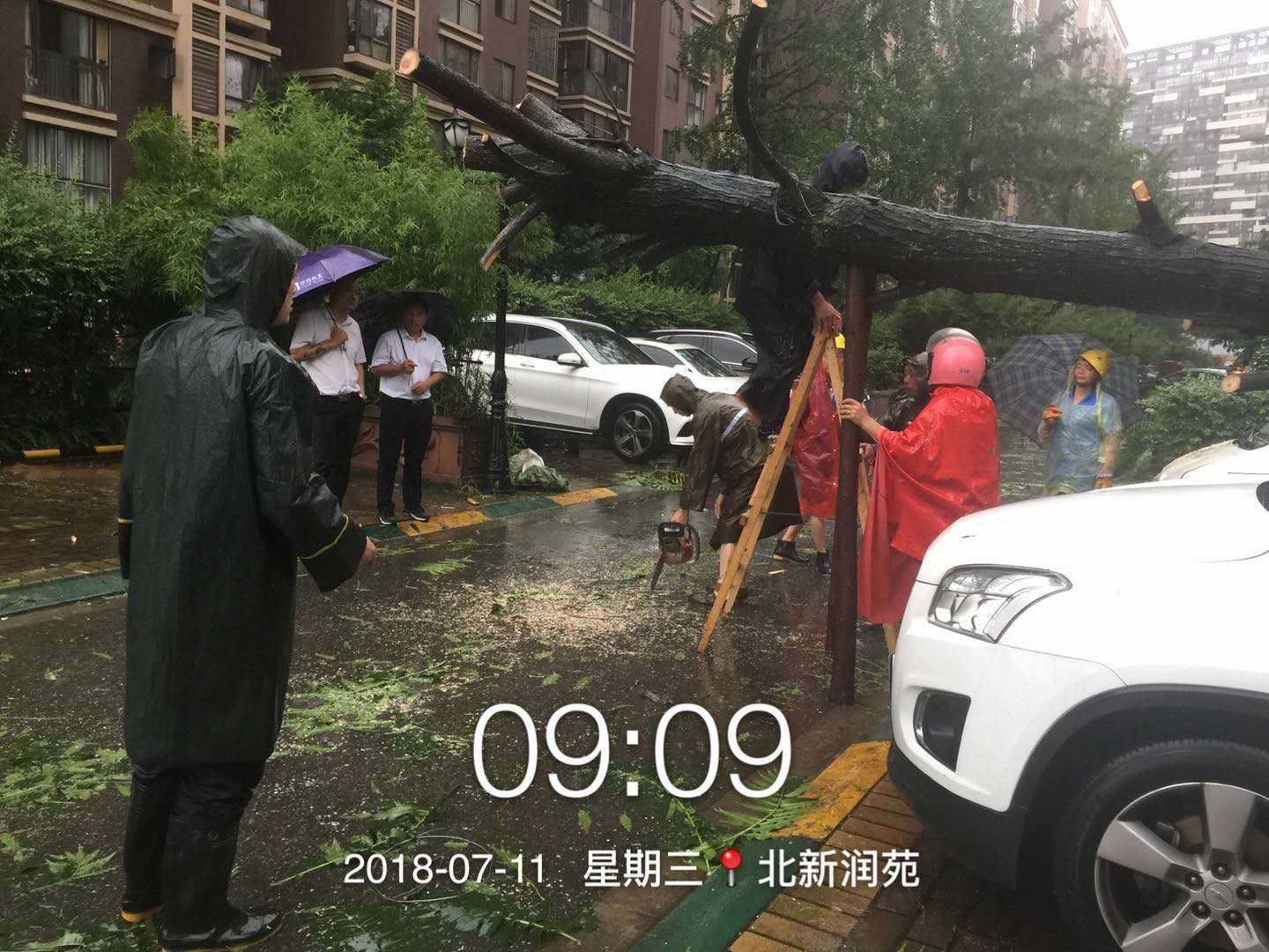 微信图片_20180711134132.jpg