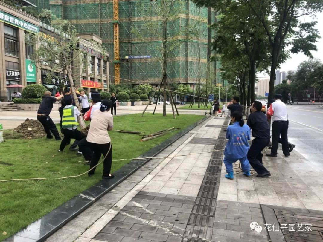 微信图片_20180711110414.jpg