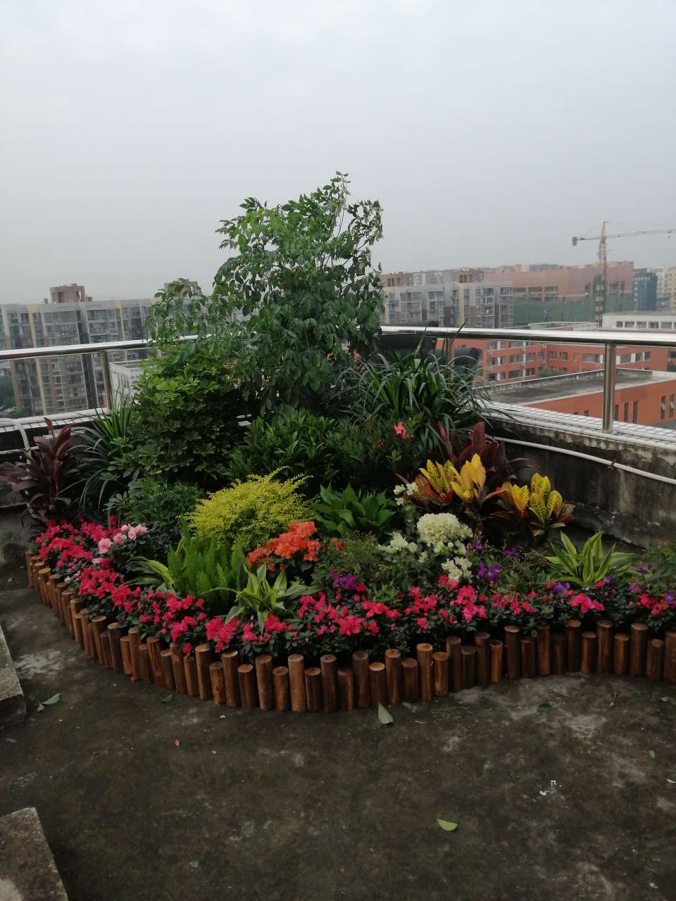 IMG_20190912_181358.jpg